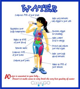 Water is critical for our bodies to function. Staying hydrated will improve all of the activities and your looks. Forever Fit, Duncan,BC